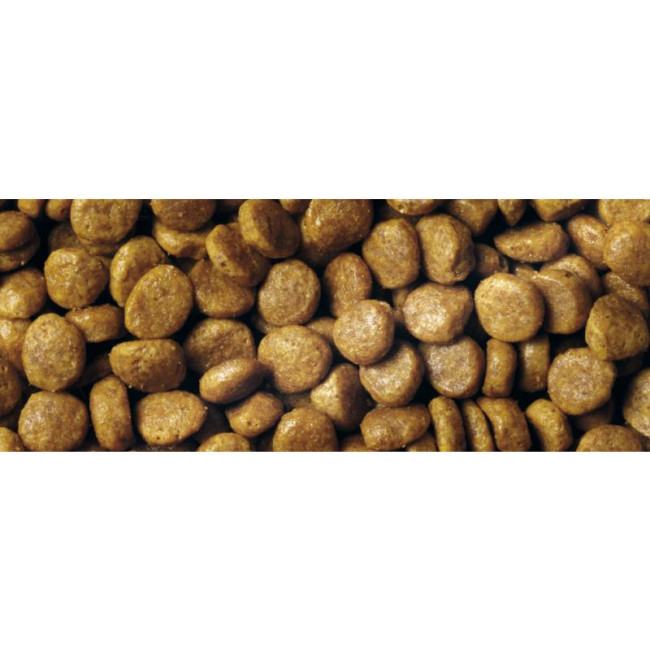 Pro Plan Adult Opti Renal Chicken (для взрослых кошек с курицей) Pro Plan Adult Opti Renal Chicken (для взрослых кошек с курицей)