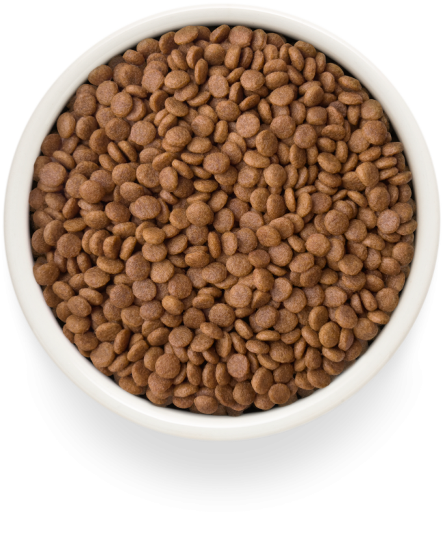 Grandorf Fresh Cat adult Корм для взрослых кошек с уткой и бататом Grandorf Fresh Cat adult Корм для взрослых кошек с уткой и бататом