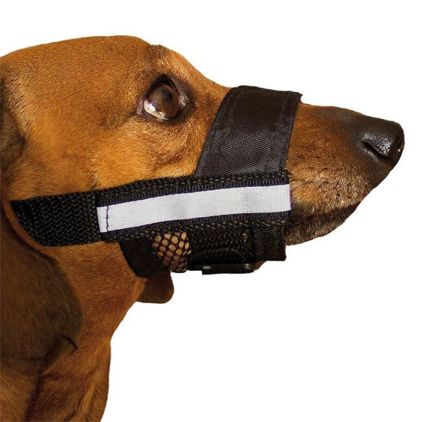 Дарэлл Намордник регулируемый нейлоновый со светоотражающей лентой Дарэлл Намордник регулируемый нейлоновый со светоотражающей лентой
