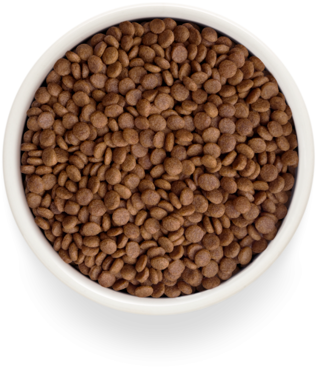 Grandorf Fresh Cat adult Корм для взрослых кошек с лососем и бататом