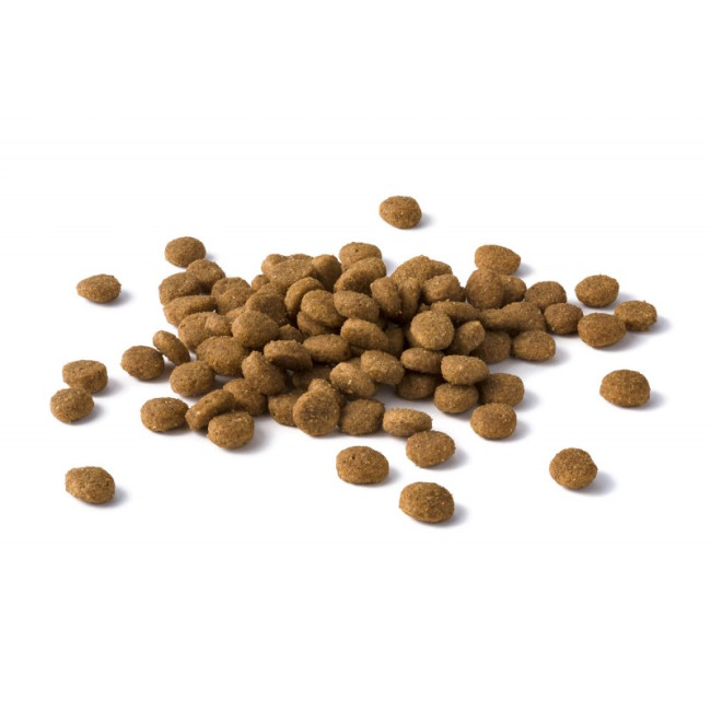 Purina Cat Chow для поддержания здоровья мочевыводящих путей, домашняя птица