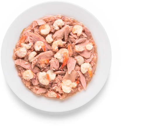 Grandorf Консервы для кошек филе тунца с креветками, 70гр Grandorf Консервы для кошек филе тунца с креветками, 70гр