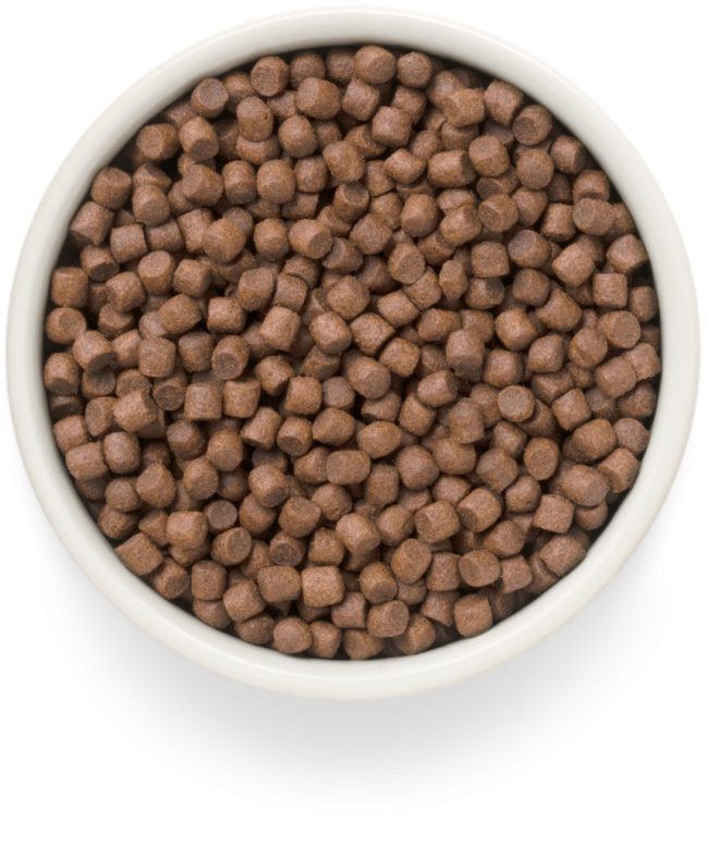 Grandorf Fresh Mini Корм для собак мелких пород с уткой и бататом Grandorf Fresh Mini Корм для собак мелких пород с уткой и бататом