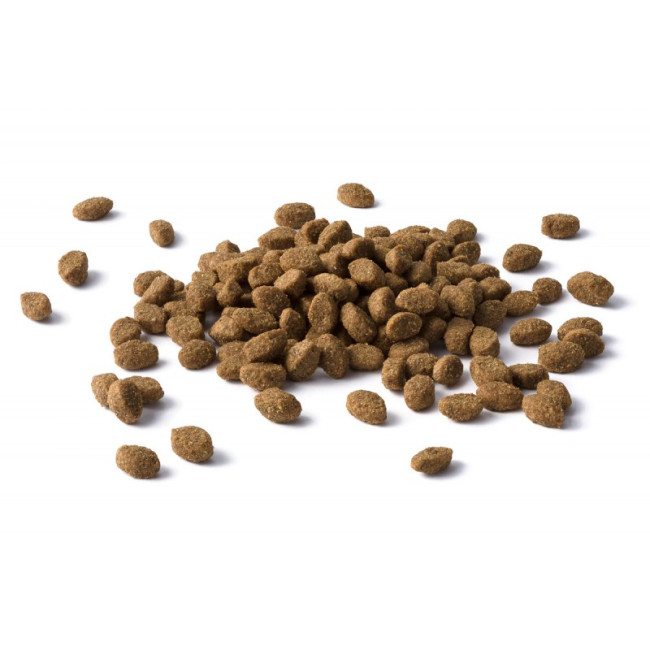 Purina Cat Chow Feline тройная защита, домашняя птица и индейка Purina Cat Chow Feline тройная защита, домашняя птица и индейка