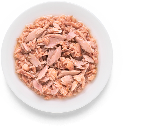 Grandorf Консервы для кошек филе тунца с мясом лосося, 70гр Grandorf Консервы для кошек филе тунца с мясом лосося, 70гр