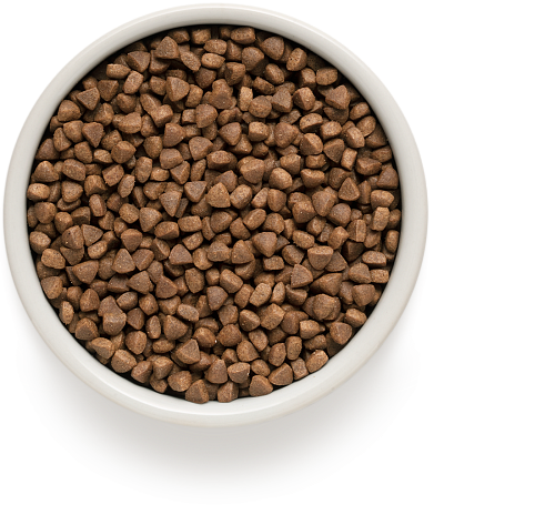 Grandorf Indoor Корм для взрослых кошек от 1 года с нормальной активностью с ягненком и индейкой Grandorf Indoor Корм для взрослых кошек от 1 года с нормальной активностью с ягненком и индейкой