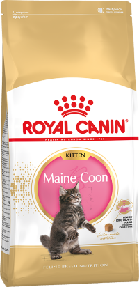 Акция!!! Royal Canin Kitten Main Coon для котят породы мэйн кун, 400 гр СКИДКА!