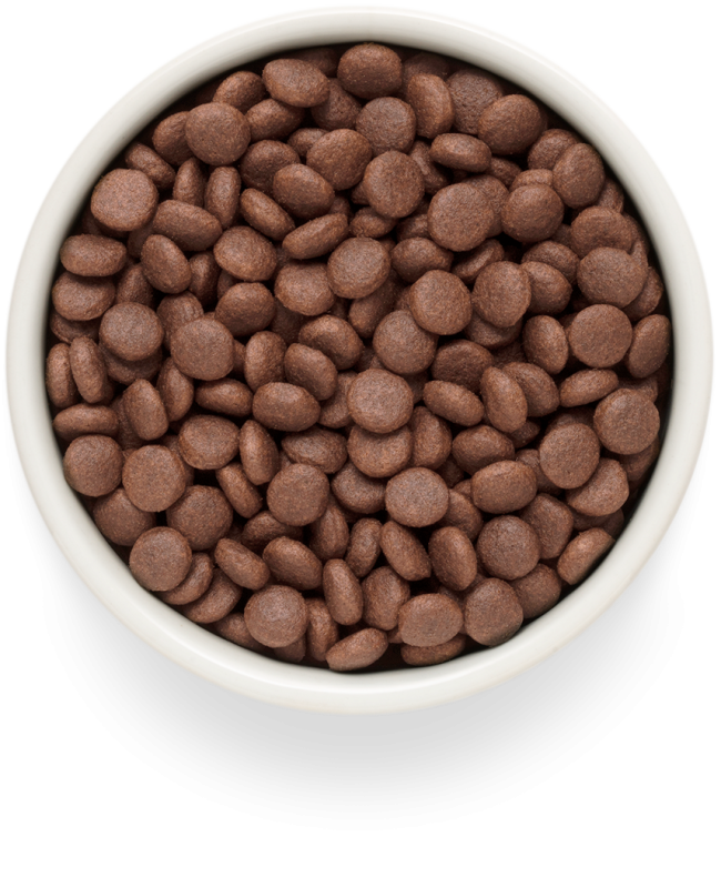 Grandorf Fresh Medium&Maxi Корм для собак средних и крупных пород с ягненком и бататом Grandorf Fresh Medium&Maxi Корм для собак средних и крупных пород с ягненком и бататом
