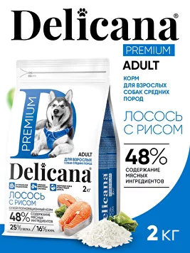 Delicana для взрослых собак средних пород с лососем Delicana для взрослых собак средних пород с лососем