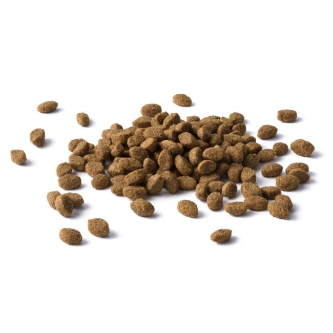Purina Cat Chow тройная защита с птицей и индейкой весовой 100гр Purina Cat Chow тройная защита с птицей и индейкой весовой 100гр