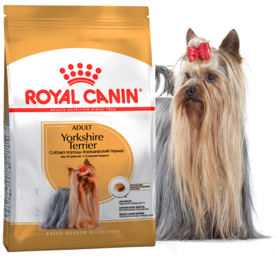Royal Canin Adult Yorkshire Terrier (для собак породы йоркширский терьер)