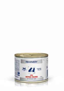 Royal Canin Recovery (восстанавливающая диета для кошек и собак) 0.195гр Royal Canin Recovery (восстанавливающая диета для кошек и собак) 0.195гр