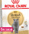 Royal Canin British Shorthair для кошек британской породы весовой 100гр