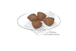 Royal Canin Mini Starter (для щенков мелких пород до 2 мес, беременных и кормящих) Royal Canin Mini Starter (для щенков мелких пород до 2 мес, беременных и кормящих)