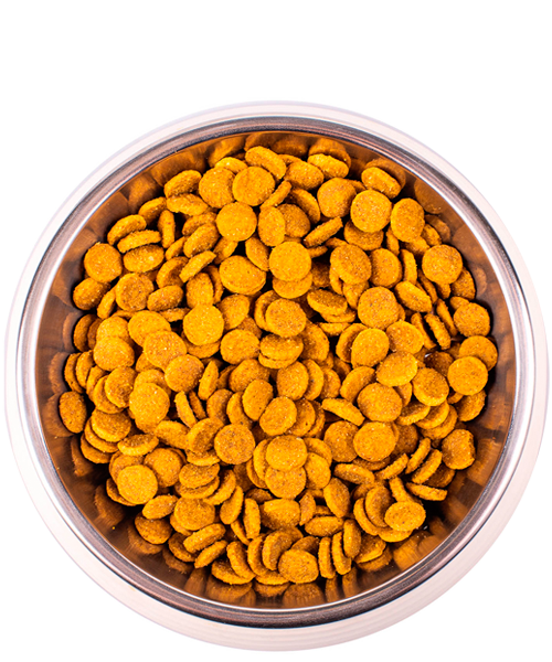 Monge Cat Monoprotein Sterilised корм для стерилизованных кошек с уткой Monge Cat Monoprotein Sterilised корм для стерилизованных кошек с уткой
